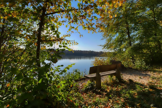 夜跑温江我们一起向未来 荧光夜跑2月15日开启.