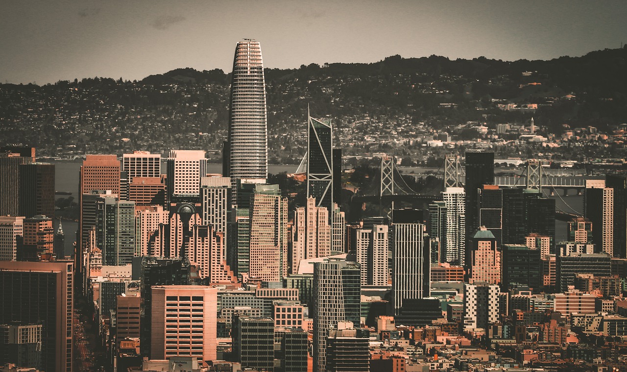 情感与战略 情感与战略