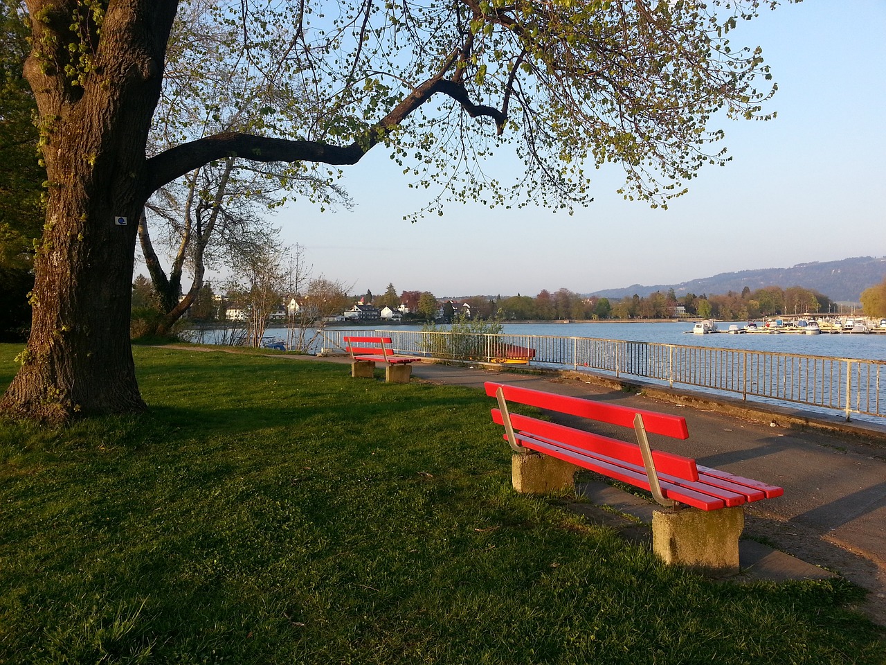 乘亚冬会“东风” 掀冰雪运动热潮——多彩活动点燃冰雪激情.